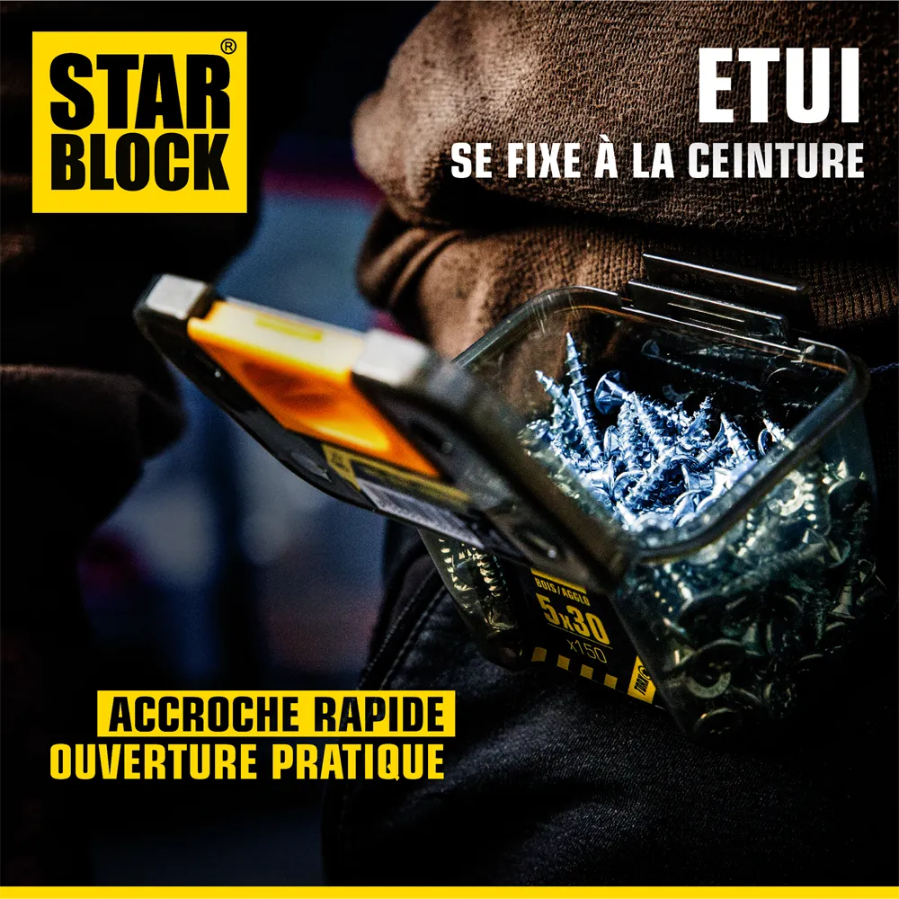 ambiance-vis-boisagglo-pz-4×40-tete-fraisee-pz-acier-zingue-starblock-1