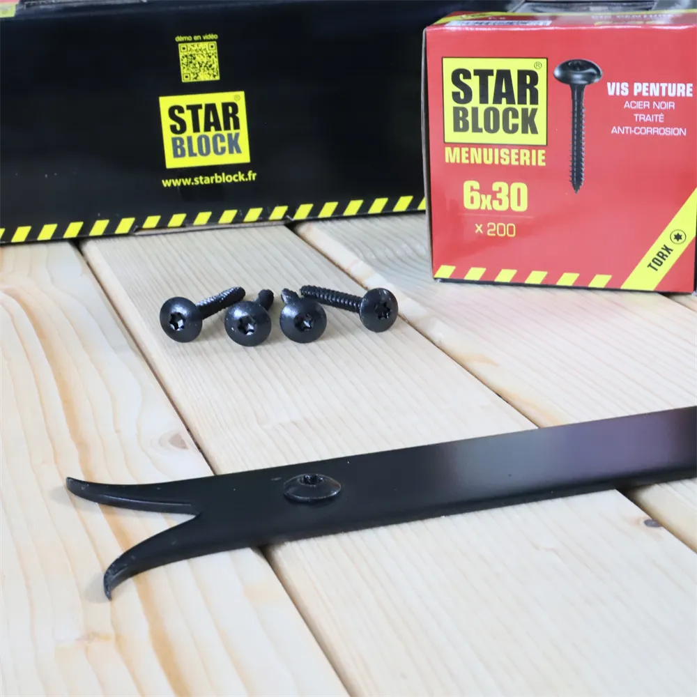 ambiance-vis-penture-7×40-tete-large-bombee-tx-acier-traite-noir-anticorrosion-starblock-1